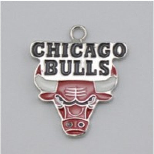 Chicago Charms Sports basketball Jewelry Accessory